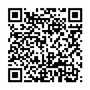 至少不是寻常道元境以下修者能够能够完成的项目二维码生成