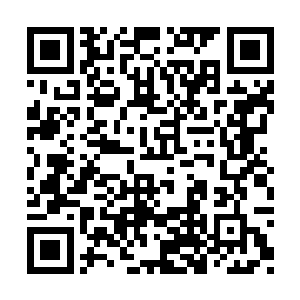 至少不是随便他荣亲王和火凤仙子想捏就能捏的二维码生成