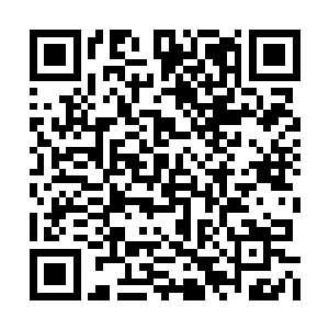 至少不用担心去董家酒楼等地方会被伙计拦住了二维码生成