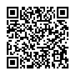 至少不用看到船长现在能这么帅气的蹲在甲板上二维码生成