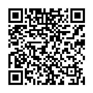 至少与他脑海里约翰一特拉沃夫塔的版本已经是相距甚远了二维码生成