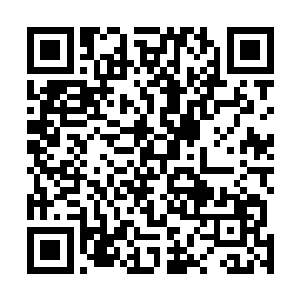 至少东林书院就没有依靠常规的方式来这么diy焰火的含义二维码生成