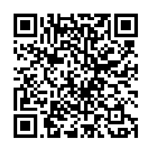 至少也是能够成为与圣君手下九大战将同样恐怖的存在二维码生成