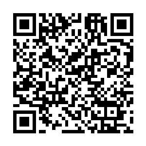 至少也要宗师级修为以上的精英弟子才有进入演武堂的资格二维码生成