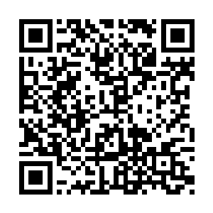 至少也要将整个洞窟都探寻一遍才可以下结论的二维码生成