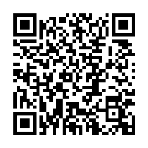 至少也要让他们能够对抗得了一个d级中期的强者才行啊二维码生成