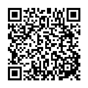 至少也还是有某些黑老大妄图成为下一个李睿这样的地下霸主的二维码生成