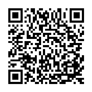 至少从她裸露出来的那一截粉白的藕臂上也是可以看得出来的二维码生成