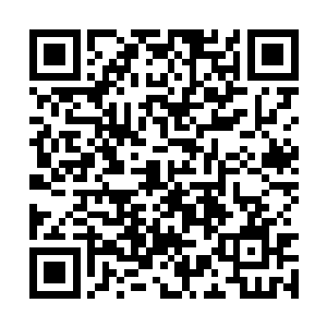 至少从表面上看起来马悦仍然对闻人牧月忠心耿耿二维码生成