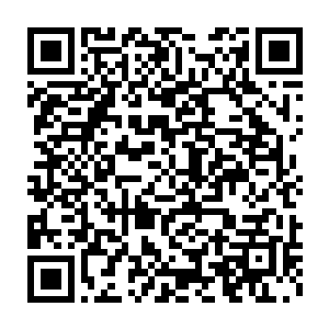 至少他身上的衣服早已经被八部天龙那恐怖无比的罡气撕成碎片了二维码生成