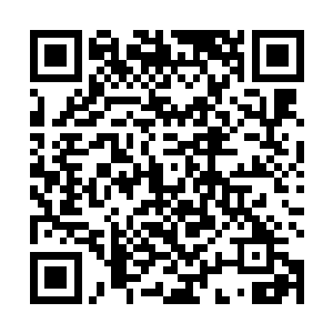 至少再将天书借我用上一段时日……待我安顿好了……二维码生成