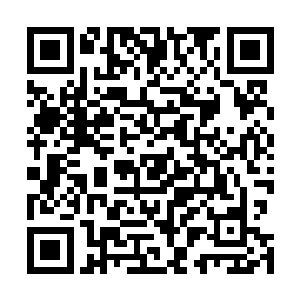 至少刚刚听白兰念的几个家族好像都是这样――顺带一提二维码生成