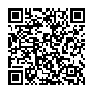 至少双手不适用任何的能量而生死虎豹已然不在话下二维码生成