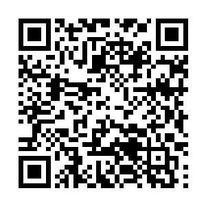 至少在大宋上到士大夫下到乡间黔首心目中也是根基稳固二维码生成