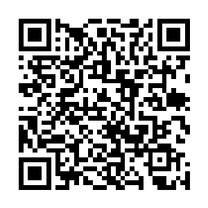 至少在弄清当年到底发生了什么事之前我是绝对不会回去的二维码生成