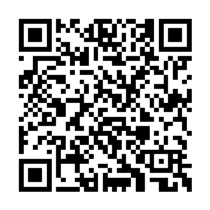 至少在猎海联盟和四大宗派没有派来调查小队前二维码生成