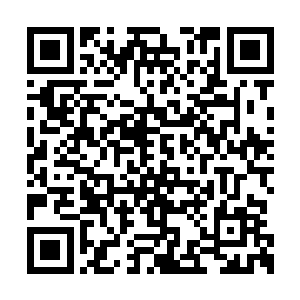 至少在短时间内锦鲤一族应该没有太大的麻烦了二维码生成