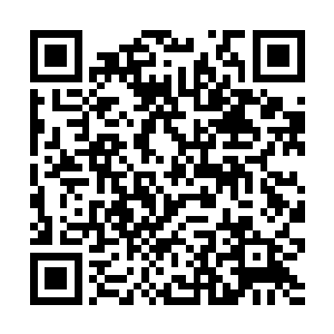 至少在苻敏儿没有开口说话之前没有什么不对的地方二维码生成