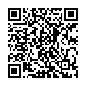 至少在表面上看不出刚刚的谈话带给她什么情绪上的波动二维码生成