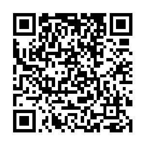 至少在过去的几十次任务中她从来不用担心自己会死二维码生成