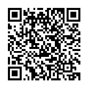 至少已经拥有了龙凤两族平常出生的后人百倍以上的潜力底蕴二维码生成