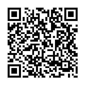 至少应该知道自己到底在这里林子里开了多久吧二维码生成
