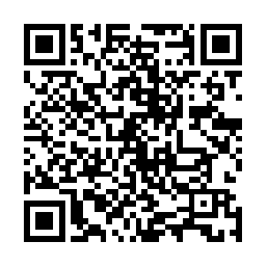 至少得有一个能装得下沙地车的储物装备才行果然又是大鳄二维码生成