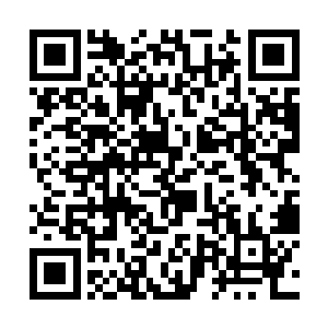 至少我是不可能像那会一样被张婧按在地上叫姐姐了二维码生成