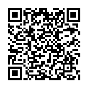 至少我觉得威胁一颗龙草是一件很有意思的事情二维码生成