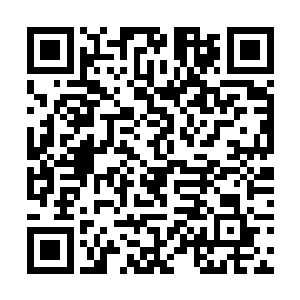 至少明白了对方也不敢用青乾天和自己道基同归于尽二维码生成