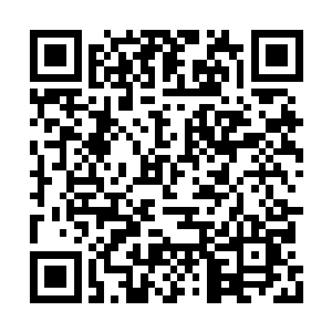 至少普通生灵因为他们而避免了混乱魔力的侵扰二维码生成