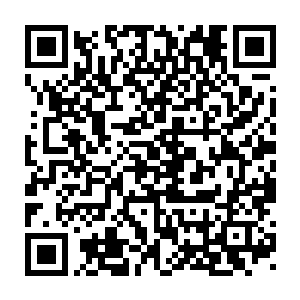 至少有一半的玉针被孙子轩以弹针的方式射入了少年身上的穴位当中二维码生成