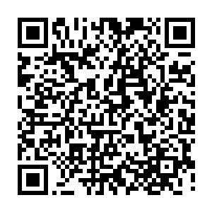 至少有三分之一的生物都有信仰之神――其中大部分是黑暗龙神和蜘蛛女皇二维码生成