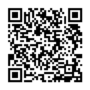 至少比菜鸟之间建立默契要快得多……以舞蹈为例二维码生成