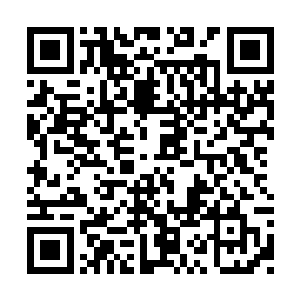 至少王家不能让那些家丁婆子将自己架到旮旯去二维码生成