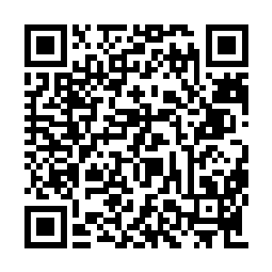 至少现在的萧航可以心无旁骛的去对付葬魂会了二维码生成