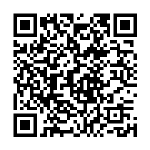 至少秦宇这半天所见到的热巴还有那位阿婆都是人类的形象二维码生成