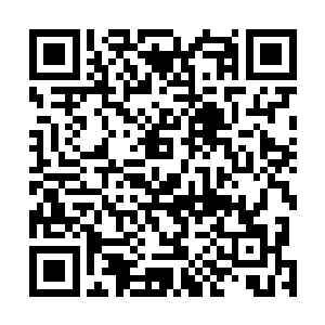 至少能够无视或者说在很大程度上衰减林天赐的声波攻击二维码生成