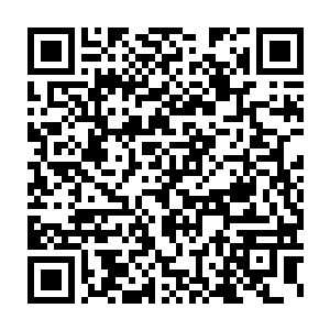 至少能把烈焰佣兵团在极短的时间内发展成风蓝王国的第一佣兵团二维码生成