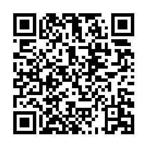 至少莫小鱼这样的第二大股东没有通行证都进不去了二维码生成