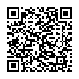 至少要等梓箐的社区达到高级程度他才会分出一丝神念来查看二维码生成