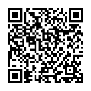 至少要给我十天的缓冲时间才将铁甲神兽的消息出卖出去二维码生成