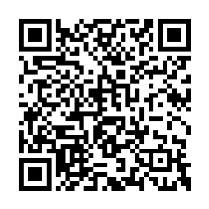 至少还是有精灵族的族裔应该能够活过这场圣战二维码生成