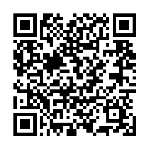 至少这匹马的配种收入可以达到非常可观的六万两银子左右二维码生成