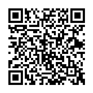 至少那口血葫芦和碧玉杖应该都是了不得的宝物二维码生成