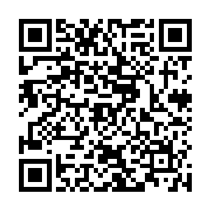 至此中天主世界的所有虚光残骸都已经被洛离收集一空二维码生成