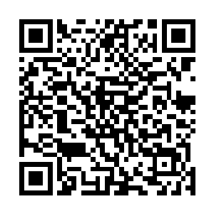 至此笼罩在我脑海深处的郑炎的那一对愤怒目光终于消失二维码生成