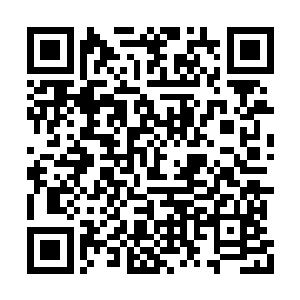 至高丛林的候鸟议会和马文虽然没有太多的交集二维码生成