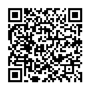 舒曼琳让人攻击的几个部落首领都是支持安溪公主的人二维码生成