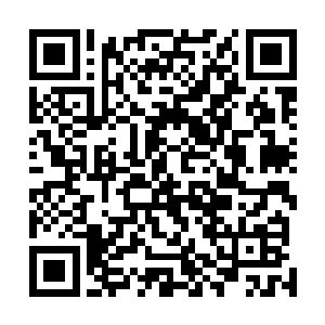 舒清雅这样的女人绝对符合眼下三个光棍男修的道侣标准二维码生成